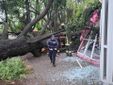 Il giardino Piera Pattani è stato chiuso al pubblico per la caduta di un albero