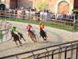 Foto Fabrizio Riboni