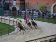 Foto Fabrizio Riboni