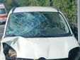 L'auto coinvolta nell'incidente (foto LuinoNotizie.it)
