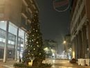 L'Albero di Natale in via Milano verrà illuminato sabato