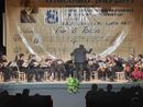 «Venite a imparare a suonare il mandolino da noi». La storica orchestra di Busto in cerca di futuro
