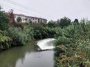 Il fiume Olona che idealmente unisce ed accomuna tutti i paesi e le città della Valle Il fiume Olona che idealmente unisce ed accomuna tutti i paesi e le città della Valle
