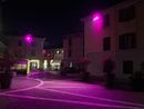 Gallarate, al via i lavori per l’illuminazione artistica del centro