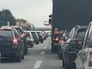 Un cane fa lo slalom tra le auto, traffico sulla superstrada della Malpensa