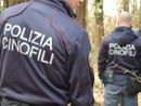 Operazione contro lo spaccio: sequestrati hashish e cocaina e smantellato bivacco nel Parco Pineta