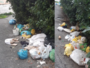 «Via dei Mille, che tristezza quei rifiuti»