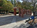 L'ingresso del cimitero di Gorla Maggiore dove si è consumato il furto