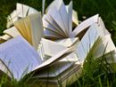 Libri per l’estate, i consigli di lettura degli amministratori della Valle Olona