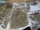 La marjuana sequestrata dalla squadra mobile di Varese a Lainate La marjuana sequestrata dalla squadra mobile di Varese a Lainate