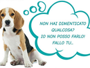 «Una Castellanza più pulita e accogliente per tutti, anche per i nostri amici a quattro zampe»: al via la campagna contro le deiezioni liquide dei cani «Una Castellanza più pulita e accogliente per tutti, anche per i nostri amici a quattro zampe»: al via la campagna contro le deiezioni liquide dei cani