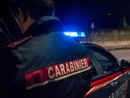 Spari nella notte nei boschi di Sesto Calende, due giovani feriti da colpi d'arma da fuoco Spari nella notte nei boschi di Sesto Calende, due giovani feriti da colpi d'arma da fuoco
