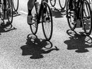 Verso Kiev: anche Busto pedala, a Varese, per la pace Verso Kiev: anche Busto pedala, a Varese, per la pace