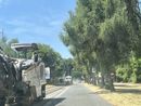 Al via i lavori di asfaltatura in viale Gabardi Al via i lavori di asfaltatura in viale Gabardi