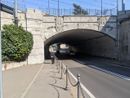 (foto tratta da IlSaronno.it) (foto tratta da IlSaronno.it)