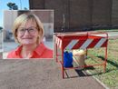 Le taniche in viale Rimembranze, nel riquadro la consigliera Cinzia Berutti