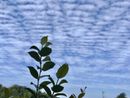 METEO. Sul Varesotto oggi possibile qualche temporale: poi sarà di nuovo afa METEO. Sul Varesotto oggi possibile qualche temporale: poi sarà di nuovo afa
