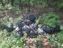 I sacchi abbandonati da alcuni giorni in una stradina che sbocca su via Savona