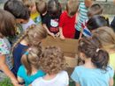 «Le maestre sono il cuore della scuola, non siamo disposti a perderle». Le lettere delle famiglie della scuola Crespi «Le maestre sono il cuore della scuola, non siamo disposti a perderle». Le lettere delle famiglie della scuola Crespi