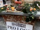 Zucche e tradizione al Castello: a Fagnano torna la Sagra con la maxi risottata Zucche e tradizione al Castello: a Fagnano torna la Sagra con la maxi risottata