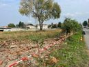 Busto: in via del Roccolo si camminerà nel verde, al parco De Curtis si alleneranno fisico e mente