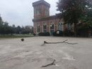 Museo del Tessile, pianta e cestino gettati in mezzo alla pista per lo skate