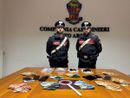 Scoperta una rete di spaccio a Busto: tre arresti e oltre 200 grammi di cocaina sequestrati Scoperta una rete di spaccio a Busto: tre arresti e oltre 200 grammi di cocaina sequestrati
