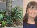 LA STORIA. Quell'aiuola speciale che ricorda Lauretta e invita a prendersi cura del proprio rione