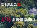 I 4.776 alberi caduti e il grande cuore dei milanesi