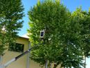 Si ringrazia Simone Orsi per la foto