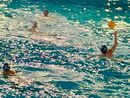 Busto Pallanuoto Paglini Store, ultima gara prima dei playoff: «Riscattiamoci proprio qui»