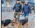 VIDEO. La camminata cresce e diventa un “Pomeriggio a sei zampe” in centro a Busto