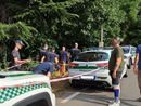 Gallarate, &quot;cadono&quot; gli alberi di via Curtatone