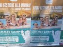 Anche i muri di Busto parlano: meno 5 alla riapertura della piscina