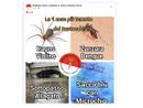 I tormentoni dei bustocchi. E il sacco azzurro se la vede con la zanzara Dengue