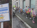 A Busto riparte il Pedibus: «Così noi bambini salviamo un pezzetto di mondo»