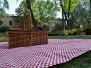 A Castellanza è ancora estate con il picnic solidale sotto le stelle