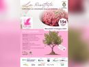 Una serata benefica per il Centro Antiviolenza E.VA ODV di Busto Arsizio
