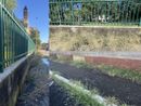 FOTO. Dal parco alla scuola, Sant'Edoardo protesta per le erbacce. «Sfalci regolari a Busto ma vedremo se si potrà aumentare la cifra a bilancio»
