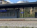 «Due ore fermi tra Busto Arsizio e Gallarate per un guasto ai binari»
