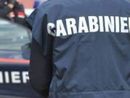 Furti di rame e di attrezzi agricoli, un arresto: colpi anche nel Varesotto Furti di rame e di attrezzi agricoli, un arresto: colpi anche nel Varesotto
