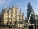 LA FOTO. Milano al lavoro per il suo Albero (e quest'anno non viene dalla nostra provincia) LA FOTO. Milano al lavoro per il suo Albero (e quest'anno non viene dalla nostra provincia)
