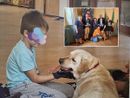 Una delle immagini che illustrano il libro dedicato ad Aut-Out. Nel riquadro, la conferenza stampa con la golden retriever Giada Una delle immagini che illustrano il libro dedicato ad Aut-Out. Nel riquadro, la conferenza stampa con la golden retriever Giada