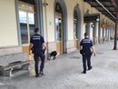 “Zorro” in azione a Luino: l’unità cinofila della Polizia Locale di Gallarate al mercato e in stazione