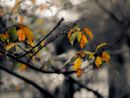 Profumo d'autunno con nuvole e pioggia. Weekend coperto Profumo d'autunno con nuvole e pioggia. Weekend coperto