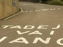 Ciclismo puro: una mano benevola chiede a Pogacar di non farli morire tutti sulla salita delle Cinque Piante che da Oltrona condurrà a Barasso. Più avanti qualcuno inneggia anche Renzo Oldani, patron della Binda