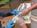 Il pacco contenente 10 kg di droga intercettato dalla Guardia di Finanza