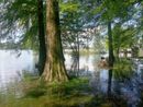 Gli effetti dell'esondazione del lago di Varese alla Schiranna