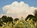 Cumulonembo svetta sopra i campi del grano  (Foto P. Valisa tratta da astrogeo.va.it)