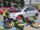 Sesto Calende, gattino incastrato nel motore dell'auto. Per liberarlo servono i vigili del fuoco